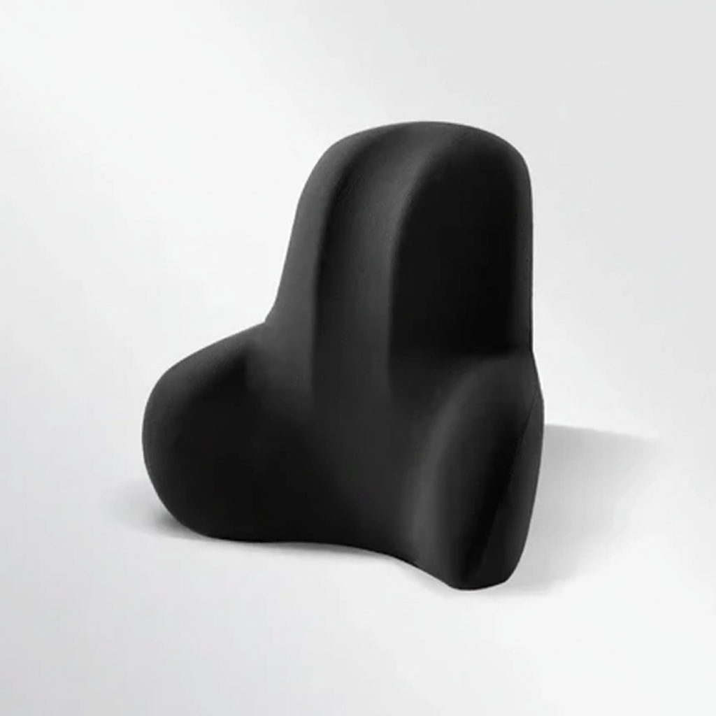 Coussin Mémoire de Forme Voiture – Soutien Cervical & Lombaire | MyZenita
